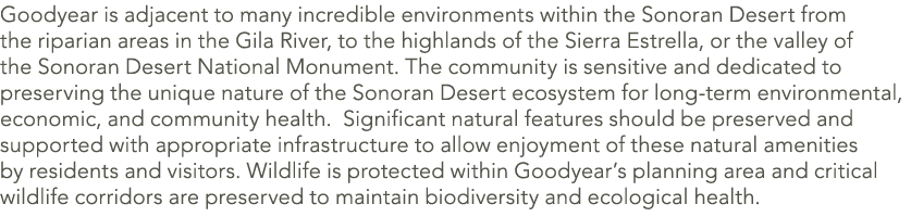 Goodyear is adjacent to many incredible environments within the Sonoran Desert from the riparian areas in the Gila Ri...