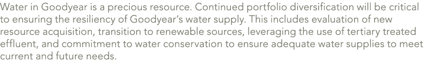 Water in Goodyear is a precious resource. Continued portfolio diversification will be critical to ensuring the resili...