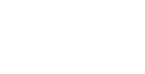 WeRide on demand Transit Service