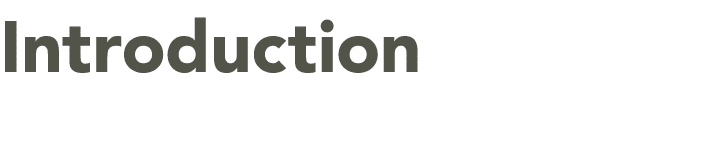 Introduction 