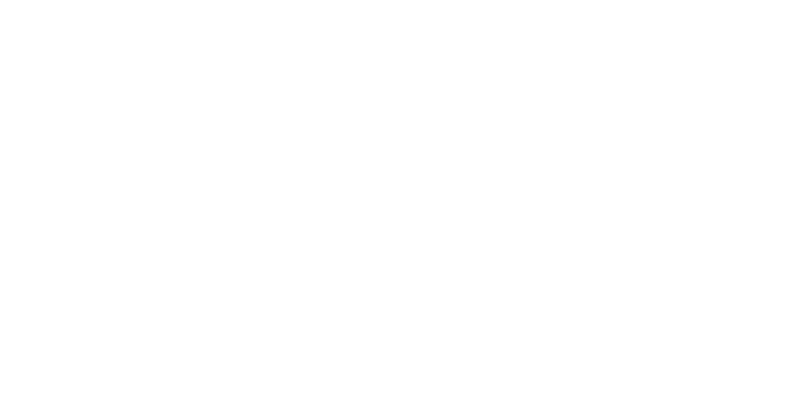 The goals and policy recommendations expressed throughout this Plan provide guidance for city staff, local businesses...
