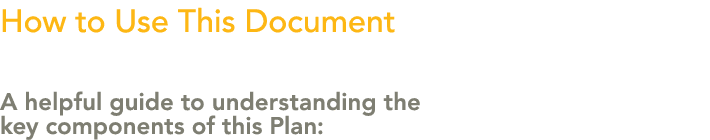 How to Use This Document A helpful guide to understanding the key components of this Plan: