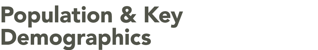Population & Key Demographics