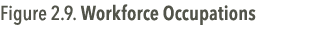 Figure 2.9. Workforce Occupations